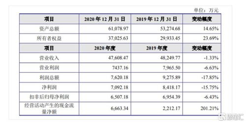 金智教育科創(chuàng)板IPO 聚焦高等教育信息化，2020年營收達4.7億元，軟件開發(fā)為核心引擎